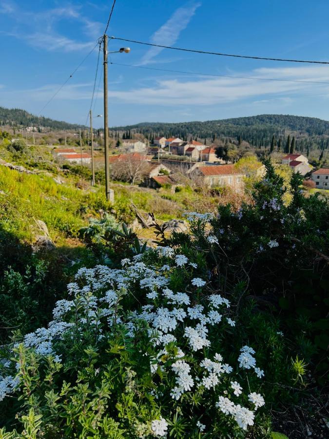 Country House Bakicevo Villa ชีลิปิ ภายนอก รูปภาพ